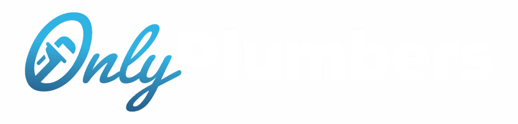 Only Plumbers. Only Professionals.